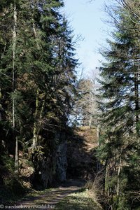 Wanderung auf dem Ehwaldweg