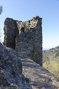 Wehrmauer und Bergfried der Ruine Schwarzenburg