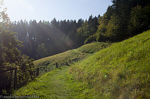 Wiesensteig bei Bad Peterstal-Griesbach