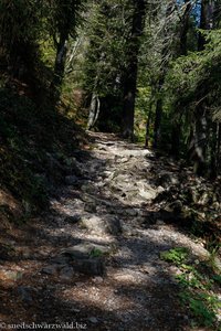 Wanderweg vom Feldberger Hof zum Feldsee