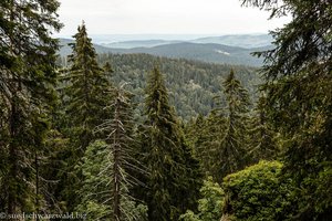 Ausblick vom Felsenweg