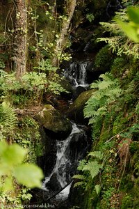 kleiner Wasserfall beim Alten Stausee