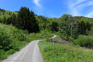 Wanderweg bei Bernau-Hof