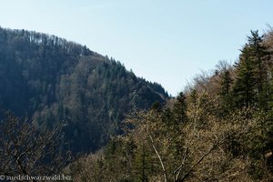 Ausblick von der Mettlerhalde über das Wehratal