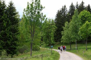 Schluchsee-Seeweg