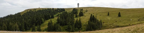 Seebuck mit Bismarck-Denkmal und Feldbergturm