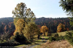 Herbstlandschaft bei Lindau im Hotzenwald