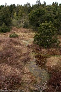 Tiefenhäuserner Moor