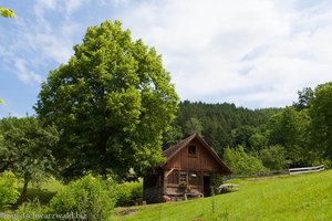 Wehrlehofmühle im ZweiTälerLand