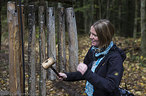 Waldxylophon beim Haseneckle