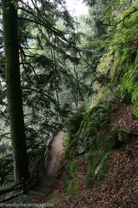 Weg zur Aussichtskanzel