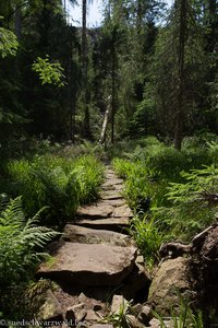 Wanderweg zwischen Huzenbacher See und Dachsbau