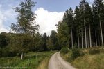 Wanderung vom Schluchsee auf den Zweiseenblick