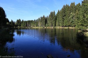 Eisweiher von Titisee