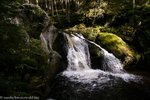 Der Krai-Woog-Gumpen im Hotzenwald