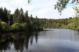 Blick über den Klosterweiher der Gemeinde Dachsberg