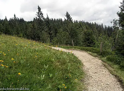 Wanderung auf den Seebuck