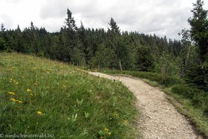 Wanderung über den Emil-Thoma-Weg