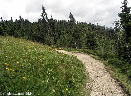 Wanderung auf den Seebuck