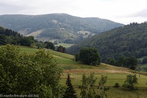 Ausblick von Neuenweg zum Belchen