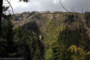 Blick zur Wechtenkante am Feldberg