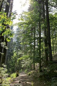 Aufstieg zum Kreuz von Vincenz Zahn