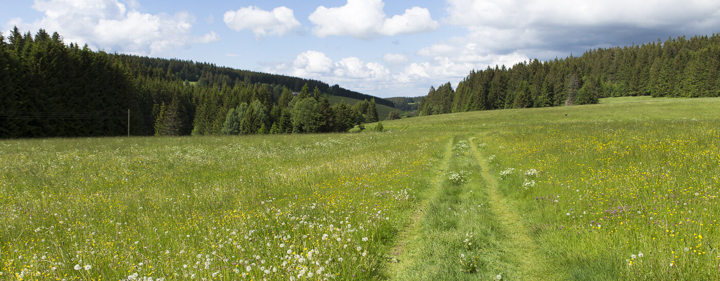 Wandern Mittlerer Schwarzwald