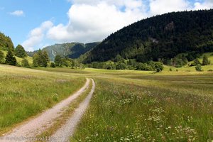 Wanderung durch das Krunkelbachtal