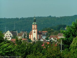 Aussicht zur Stadtpfarrkirche Maria Himmelfahrt in Tiengen