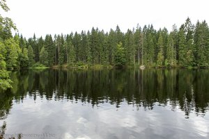 Mathisleweiher bei Hinterzarten