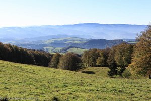 Aussicht über die Wiesen oberhalb der Gummenhofhütte zum Hochschwarzwald