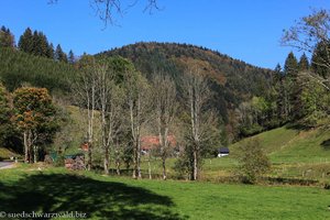 Heubachtal bei Furtwangen