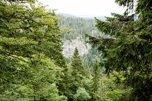 Aussicht vom Felsenweg auf die Karwand des Feldbergs