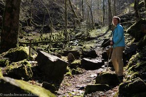 Wanderweg entlang des Sägebachs