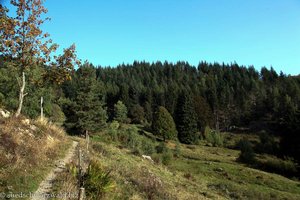 Wanderweg auf den Belchen