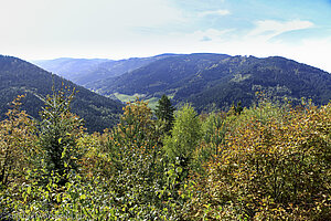 Aussicht vom Huberfelsen