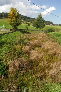 Wanderung Schluchsee - Oberfischbach