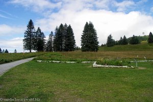 Weg hoch auf den Seebuck
