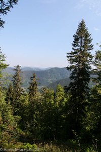 Blick Richtung Feldberg und Herzogenhorn