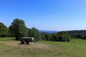 Viehweide unterhalb Tiefenhäusern