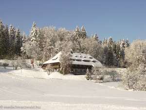 eingeschneiter Bauernhof oberhalb vom Titisee