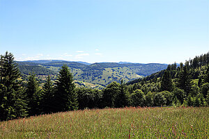 Aussicht zum Feldbergmassiv