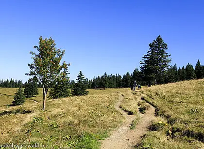 Genießerpfad Feldbergsteig