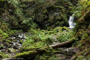 Wanderung Ravennaschlucht
