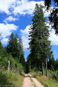 Wanderweg bim Windgfällweiher