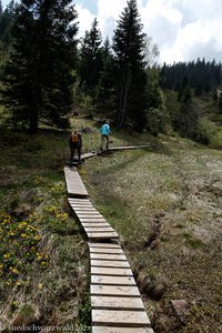 hölzerner Wanderweg über das Moor