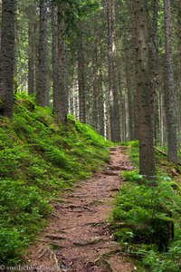 Wanderweg vom Steinatal zum Schlüchtsee