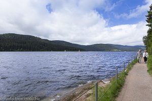 Seeweg entlang des Schluchsees