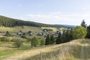 Wanderweg Hochschwarzwälder Hirtenpfad