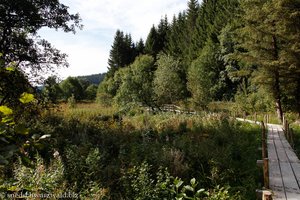 Steg über das Giersbacher Moor